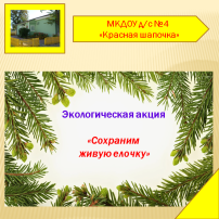 Экологическая акция "Сохраним живую елочку" Экологическая акция "Сохраним живую елочку".